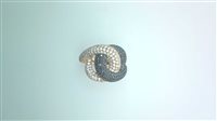 Anillo Gibi Mujer Black and white in Oro rosa Diamante Black 0.95 Ct GSA087BB3N - GSA087BB3N